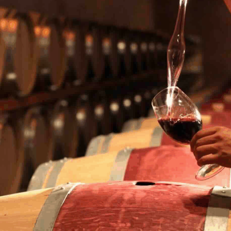 a-roma-blind-tasting-rosso-relativo